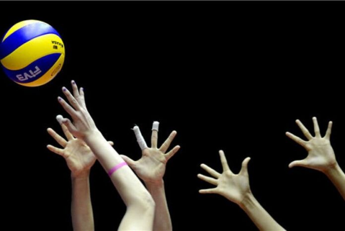 turnamen-bola-voli-proliga-ilustrasi-_131228211149-916.jpg
